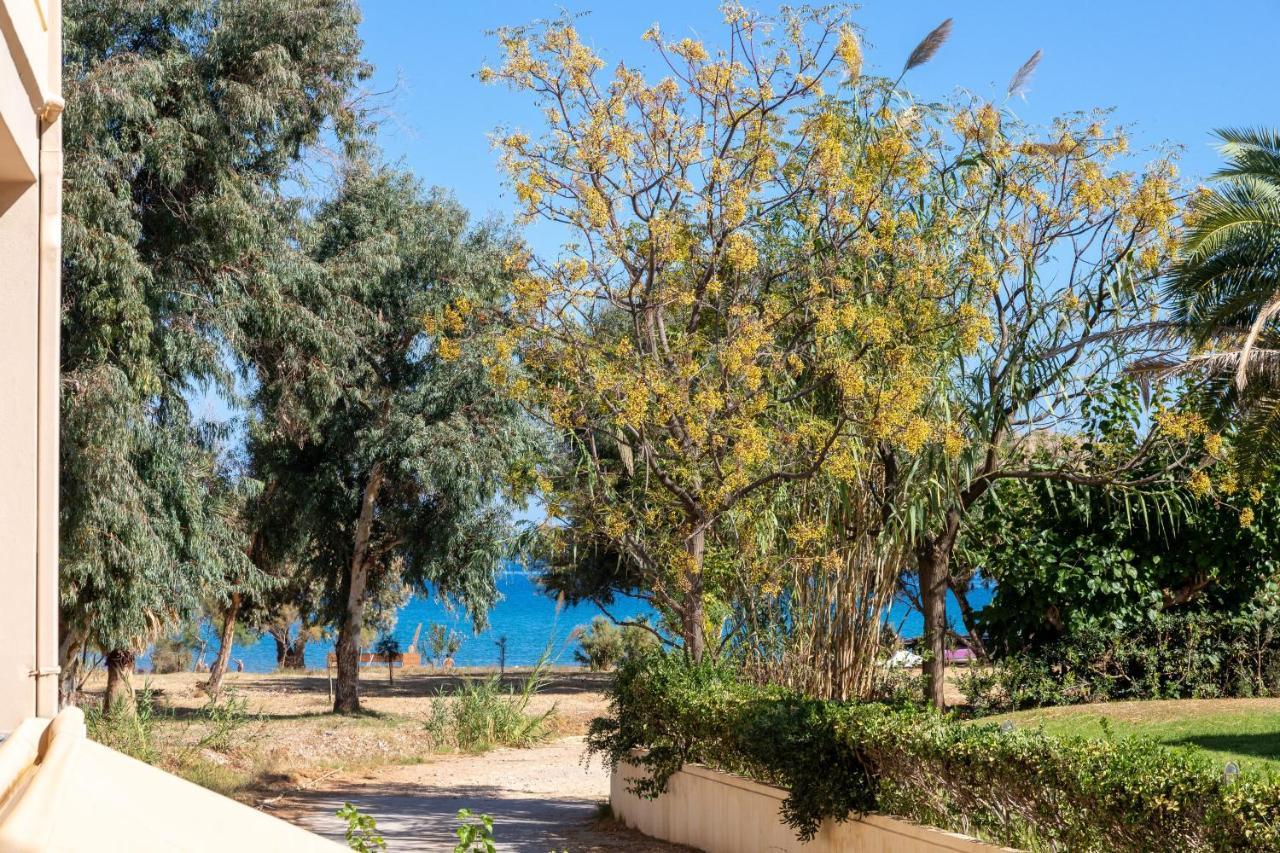 Sun Beach Apartments Kato Daratso Exterior foto